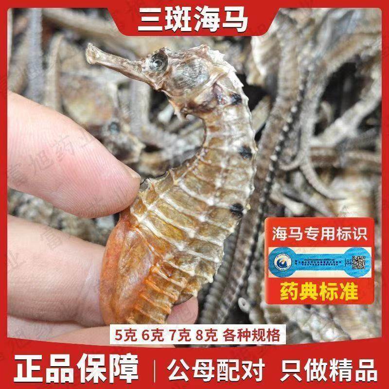 三斑海马干货正品溯源大海马干公母配对滋补煲汤泡酒料儿童汤包,水产肉类/新鲜蔬果/熟食,花胶/鱼胶,淘宝优惠券,粉丝福利购,淘宝优惠卷