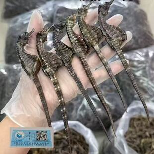 海马干货正品溯源大海马公母配对滋补煲汤泡酒料儿童汤包海龙礼盒