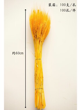 亮黄色黄金大麦麦穗干花花束客厅摆放花黄金麦穗干花插花装饰品