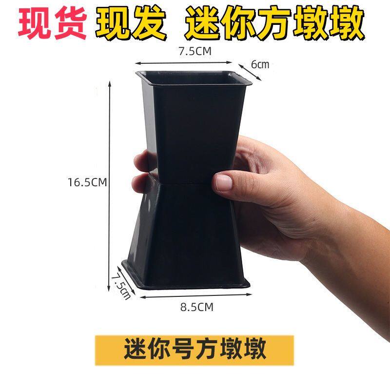 迷你方墩墩小花束常用包花器花束内胆包花底座箭筒模具花店资材