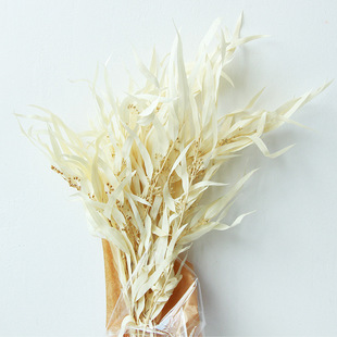 漂白小米叶森系自然桉树叶干花束真花店餐厅家居装饰插花
