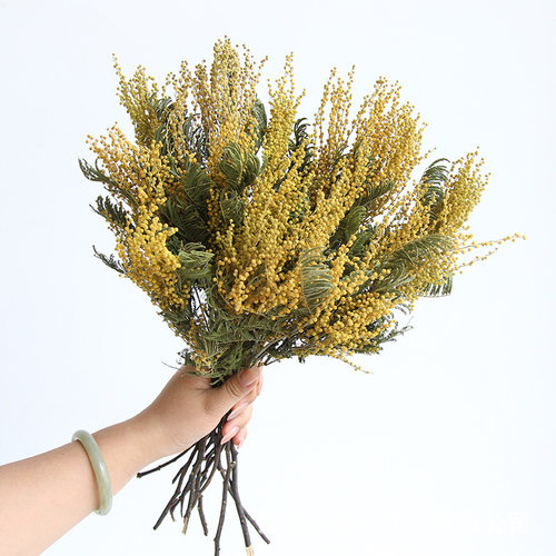 狂想者新品【圣诞花金合欢】香薰