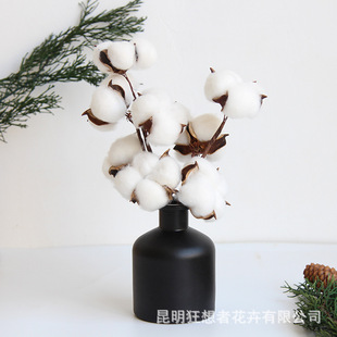 百搭风 风无火香薰瓶挥发棒扩香干花束 3朵短枝棉花