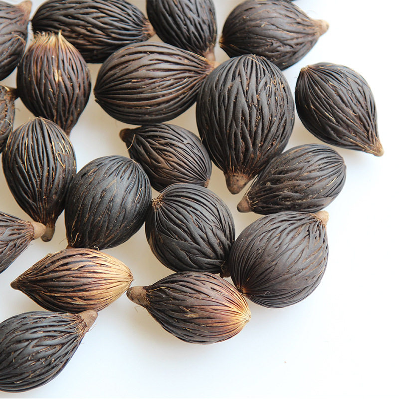 百搭风干花千丝果狐尾椰子天然植物手工diy材料手作标本挂饰干果