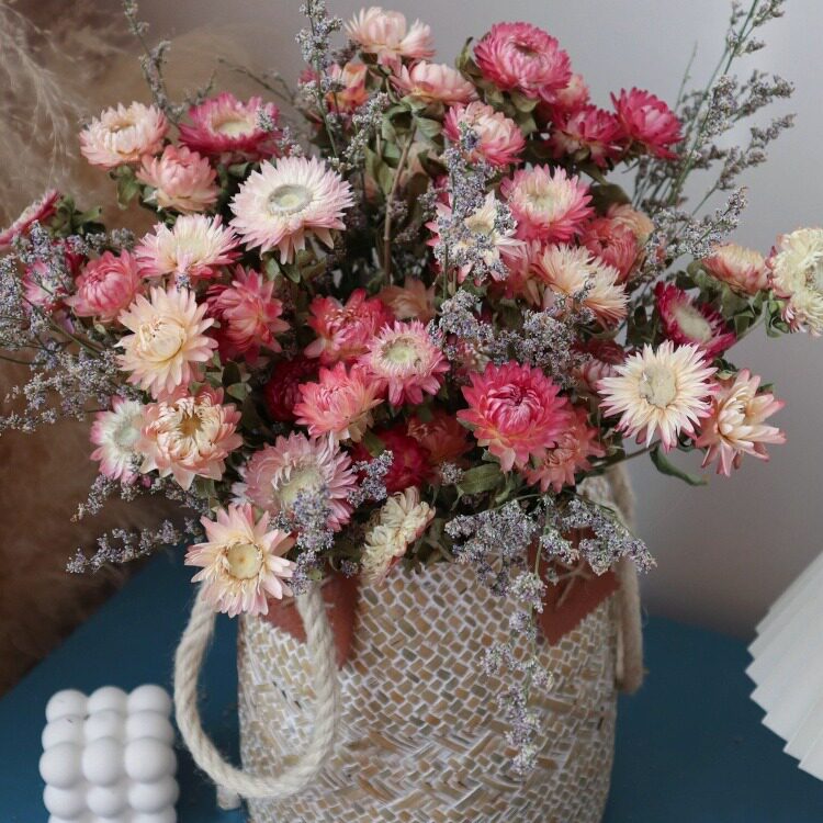 七彩菊干花花束厂家菠萝菊麦秆菊