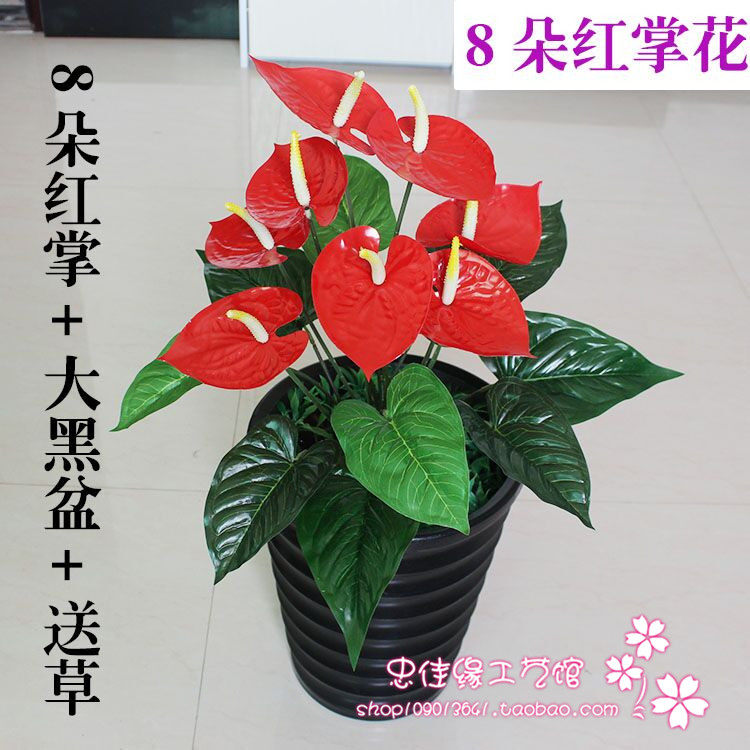 塑料假花盆景仿真花植物盆栽室内客厅大厅落地滴水观音万年青红掌