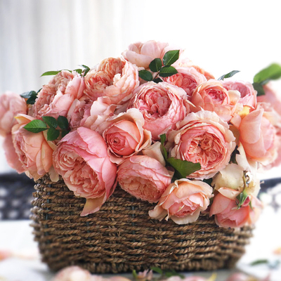 东篱园艺店庆福利盲盒