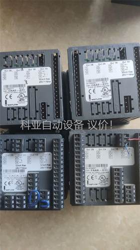 WATLOW/瓦特隆温控器（F4SH-CAAO-01RG/F(议价)