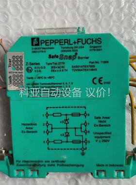 倍加福安全栅z728/z779 一组 拍 (议价)