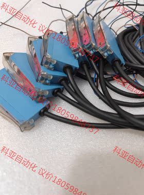 RAYCHON瑞强光纤放大器FT-60