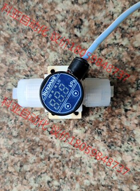 SURRASS 流量计 日本原装进口 HP10－13－P30