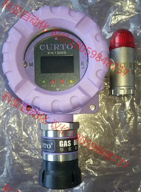 德国CURTO ZH1000 CH4 gas detecto