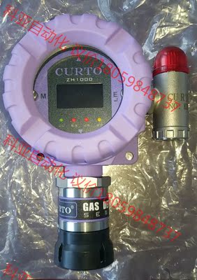 德国CURTO ZH1000 CH4 gas detecto