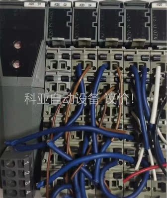 X20BC0043 贝加莱 老款 二手拆机件 拍(议价)