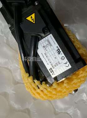 ABB伺服电机ESM06X-401-302-T2N1A00（议价）