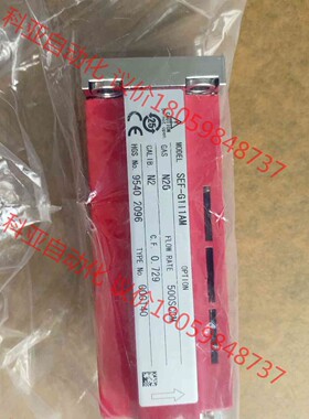 HORIBA SEF-G100/SEF-G111AM  全新