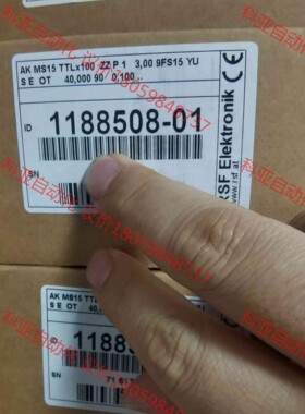 RSF  0.1μ读头  MS15  TTLx100