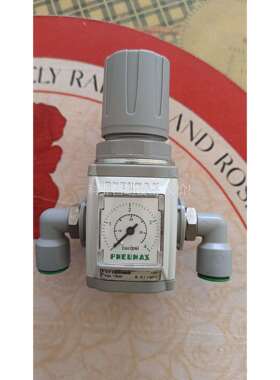 纽迈司调压阀排水阀T171BRMB 2个（议价）