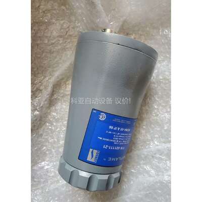 美国FORNEY火检传感器401111-21（议价）