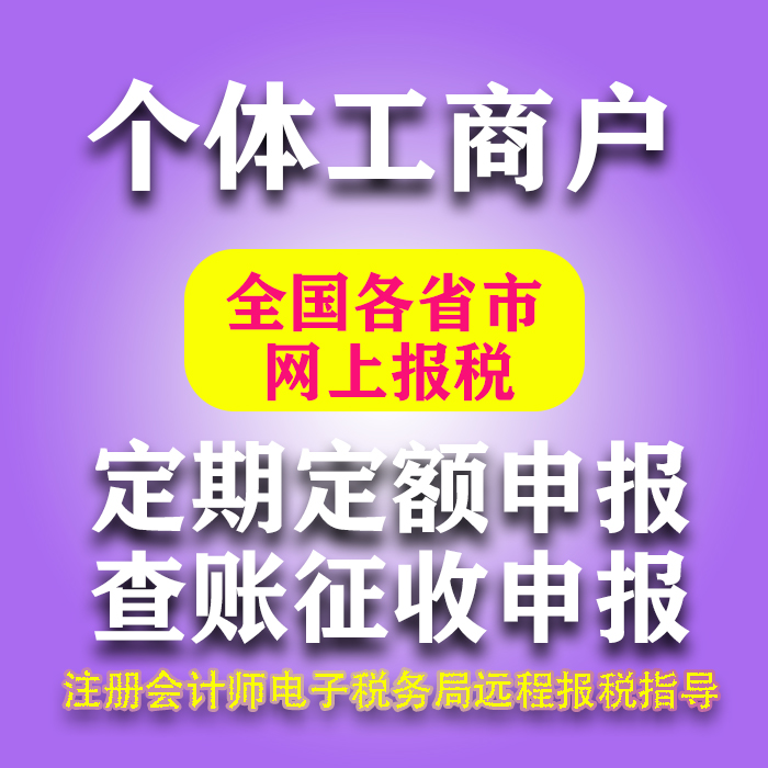 个体工商户网上报税零申报税务代理 工商年检 定期定额个体申报 商务/设计服务 商务服务 原图主图