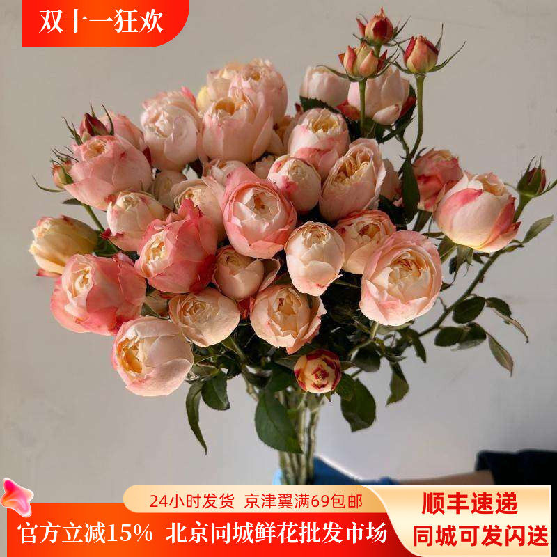 苏琪公主多头玫瑰鲜切花喜庆年宵