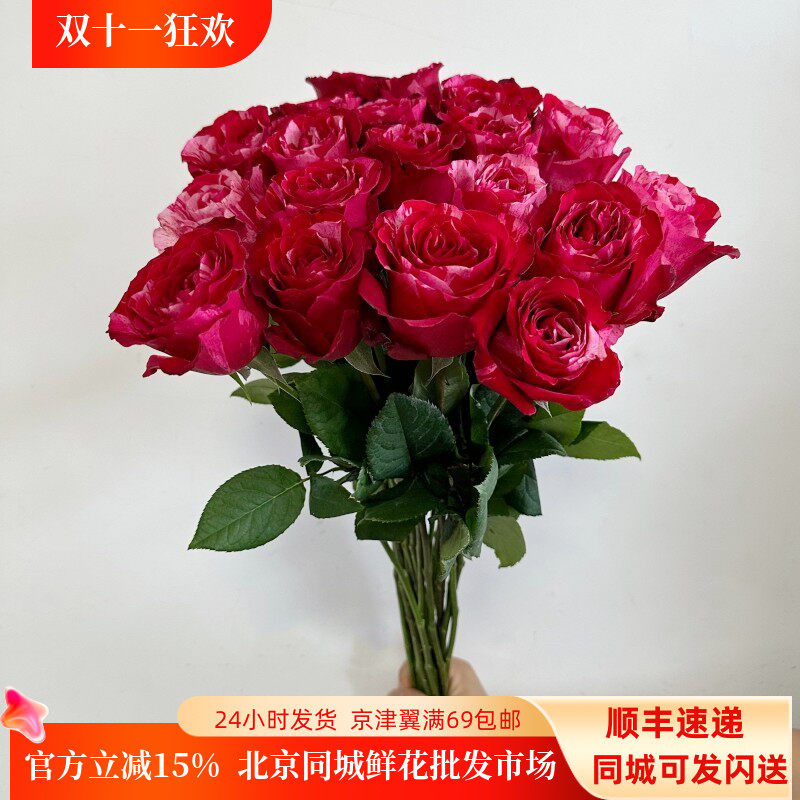 19朵幸运女神玫瑰女神大朵鲜切花