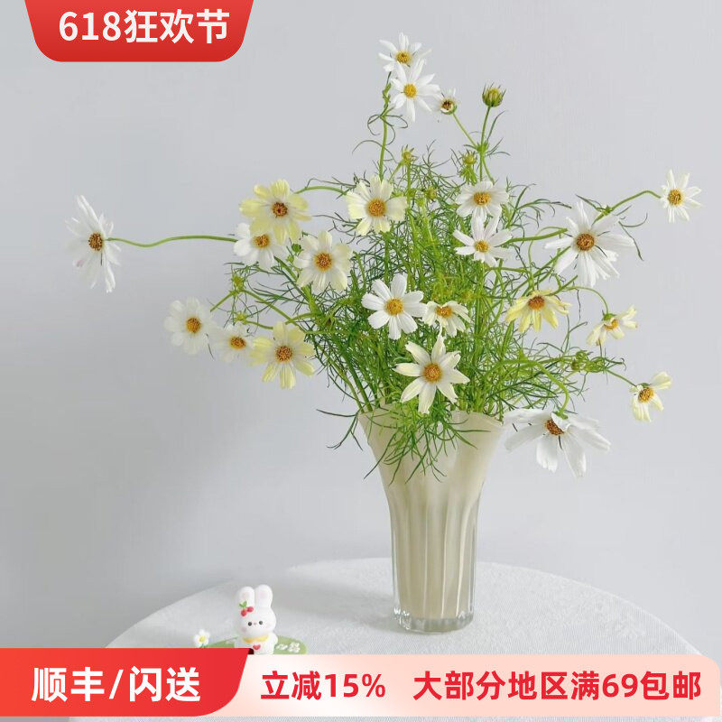新鲜格桑花鲜花 精致配花 轻奢花艺生活  娇嫩花卉 新娘手捧搭配