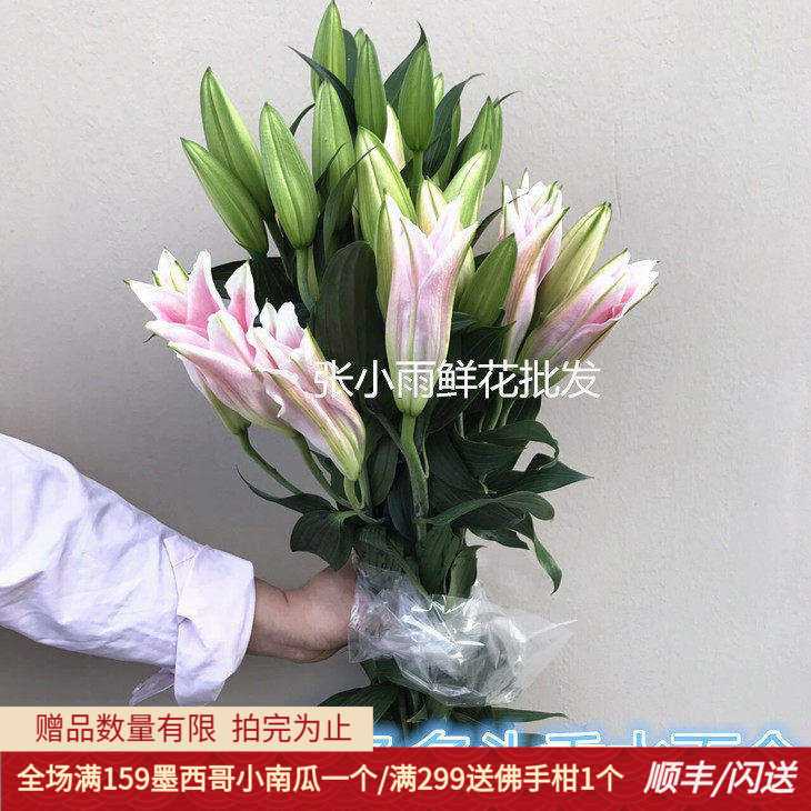 香水百合大花朵粉百合基地直供
