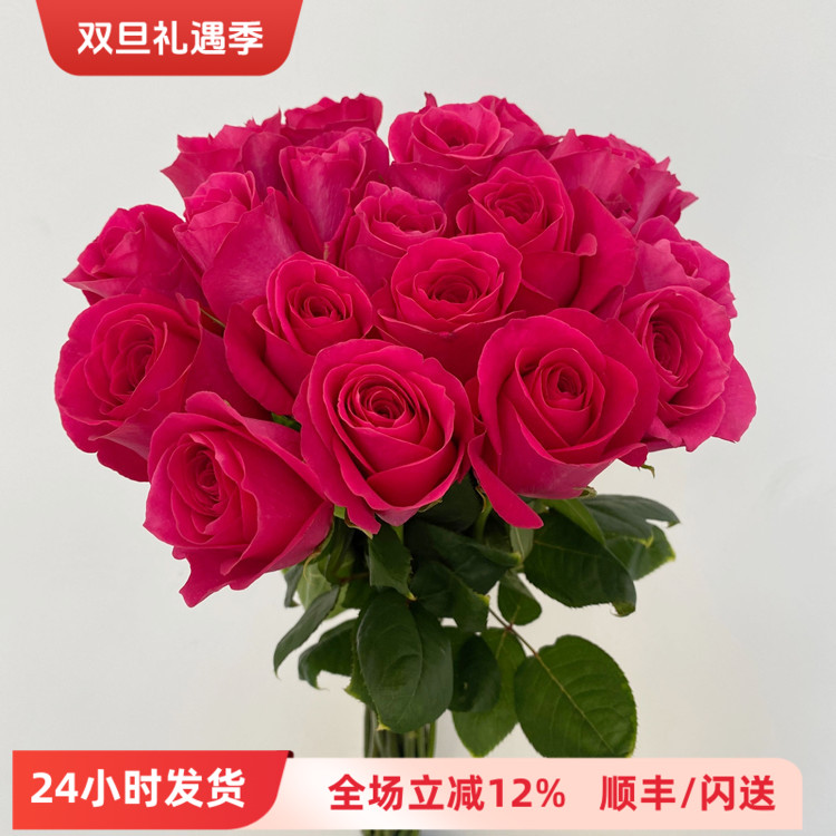 A级弗洛伊德玫瑰鲜切花同城速递
