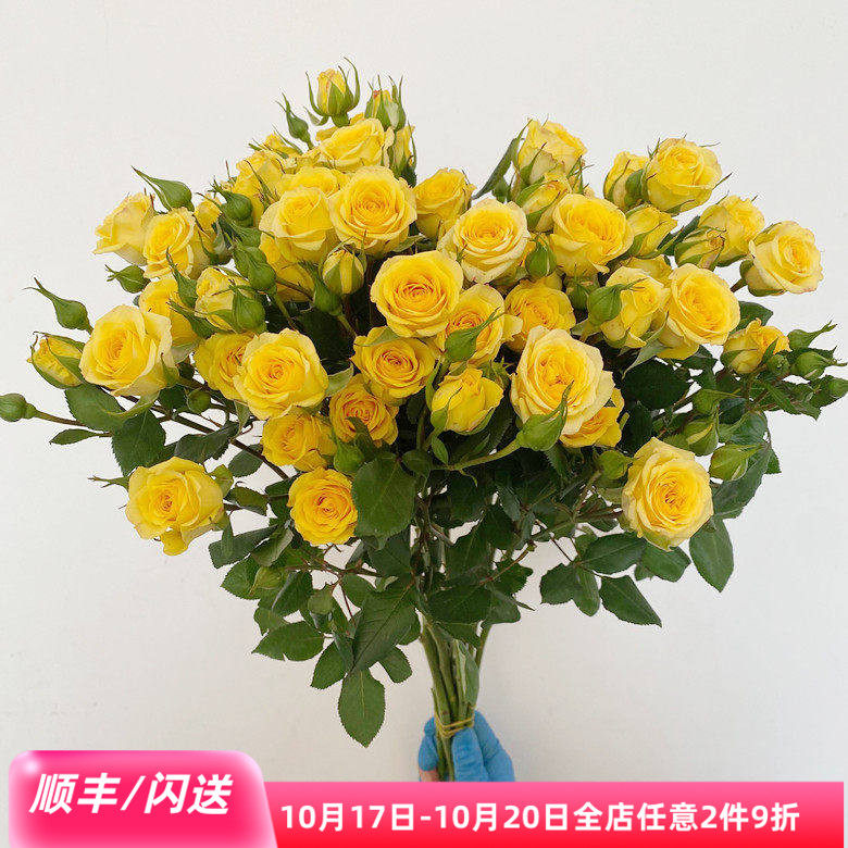 亮黄色10枝黄芭比蔷薇水瓶插花