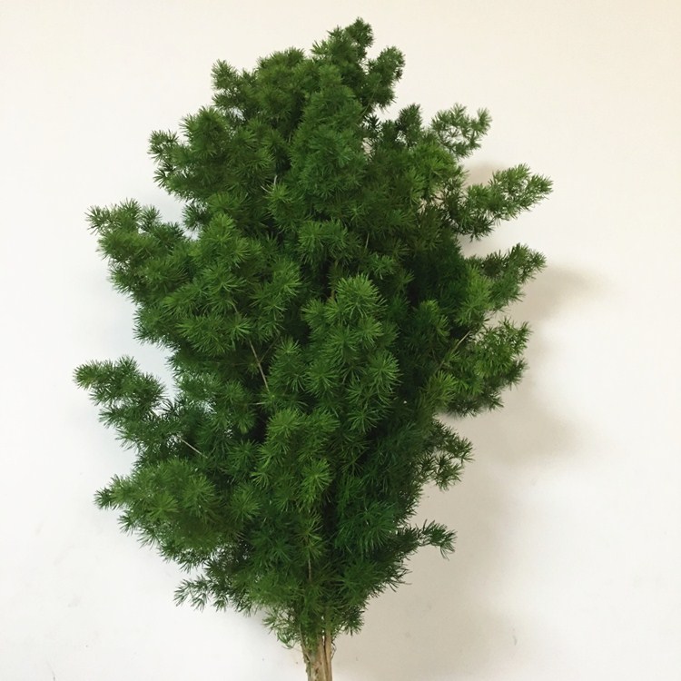 蓬莱松家庭插花婚礼插花