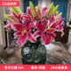 黑美人香水百合鲜花 办公室水养瓶插花节日礼物年宵花 大花朵10枝