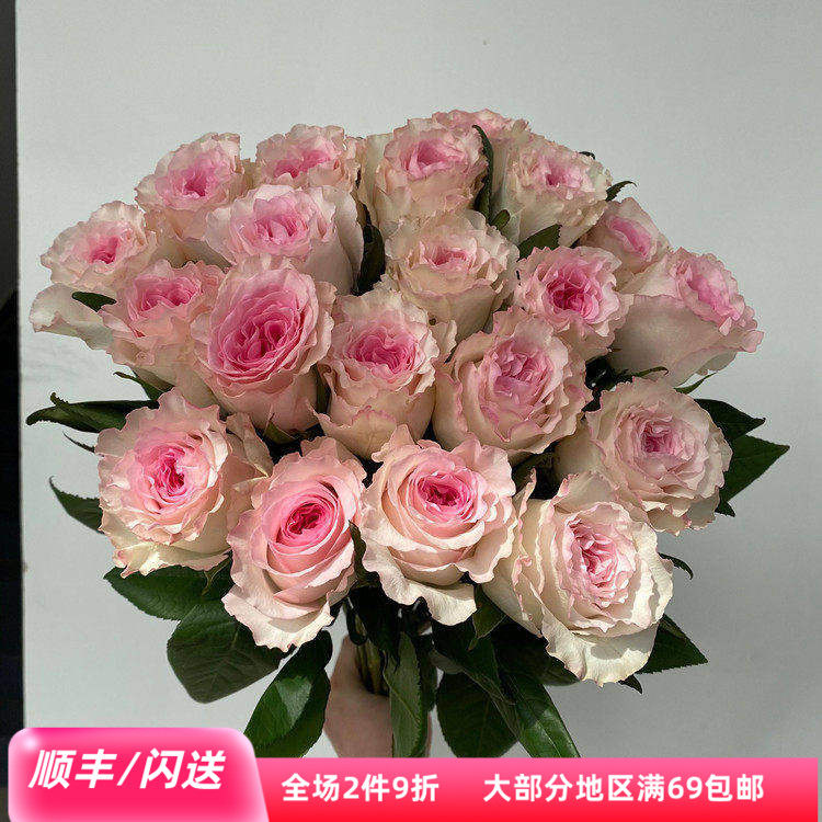 北京A级洛神玫瑰鲜花速递插花