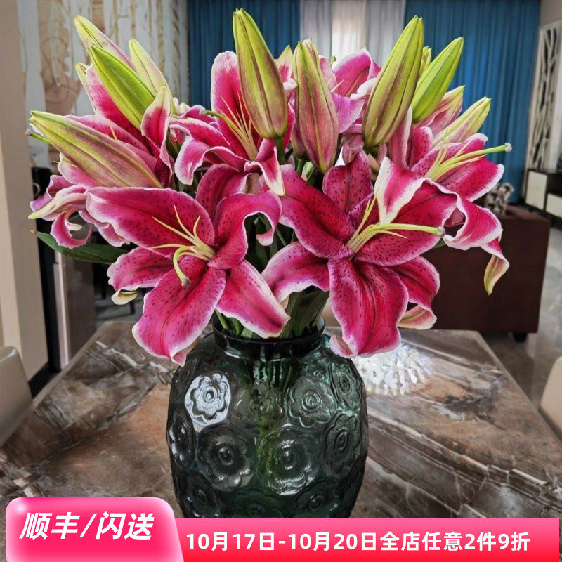 黑美人香水百合鲜花 大花朵10枝 办公室水养瓶插花节日礼物年宵花