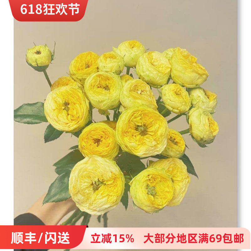 金色潮流多头玫瑰鲜花 卷芯泡泡花朵 一扎10枝 黄金满屋 北京花市