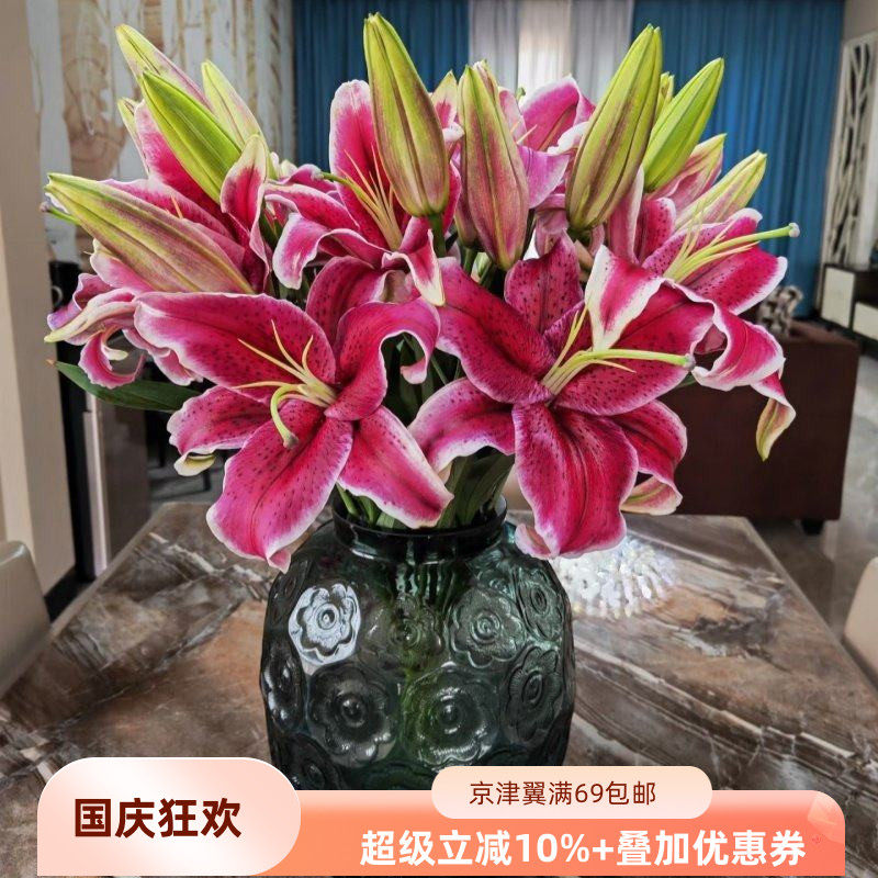 黑美人香水百合鲜花 大花朵10枝 办公室水养瓶插花节日礼物年宵花