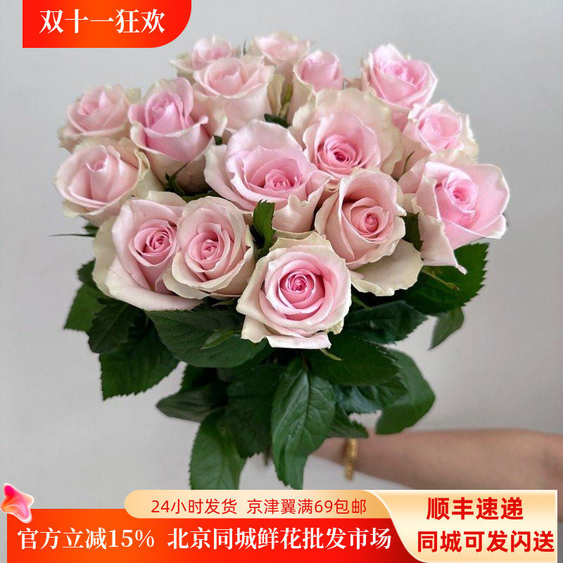 10朵火奴鲁手捧花淡粉色鲜切花