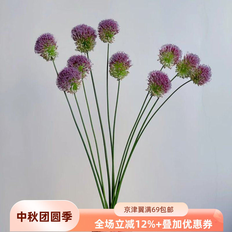 小葱花一扎10枝北京花卉市场