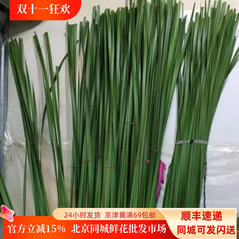 花艺插花蒲棒叶水蜡叶背景装饰叶材婚庆场景布置鲜花点缀同城速递
