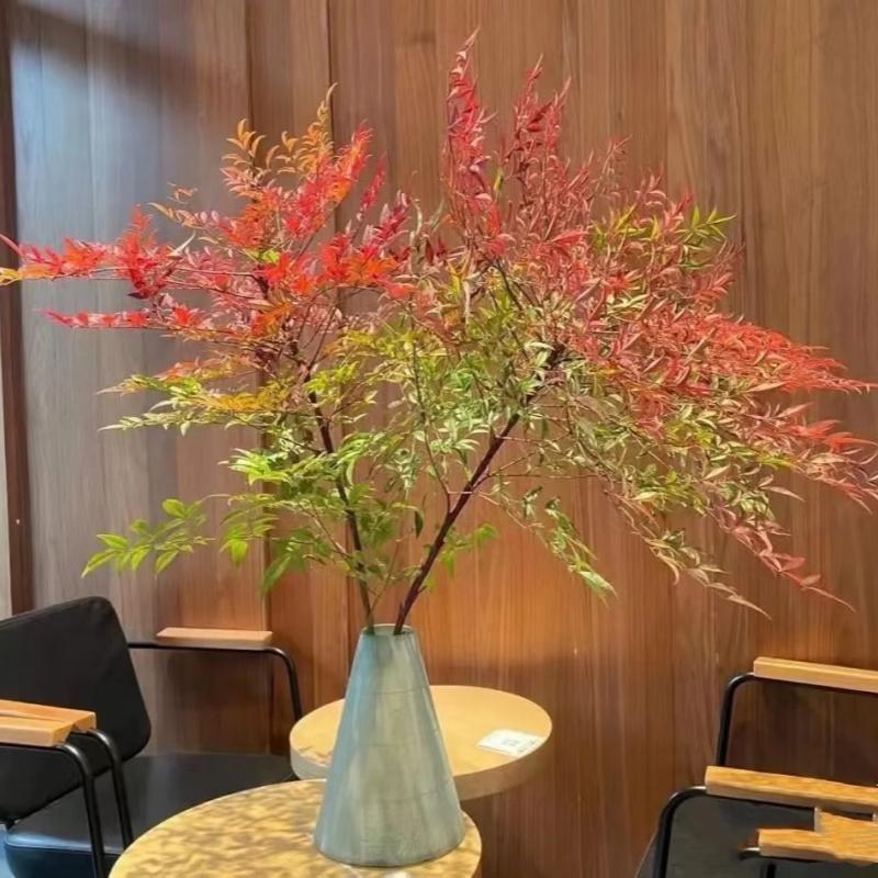 南天竹水培植物室内绿植插花