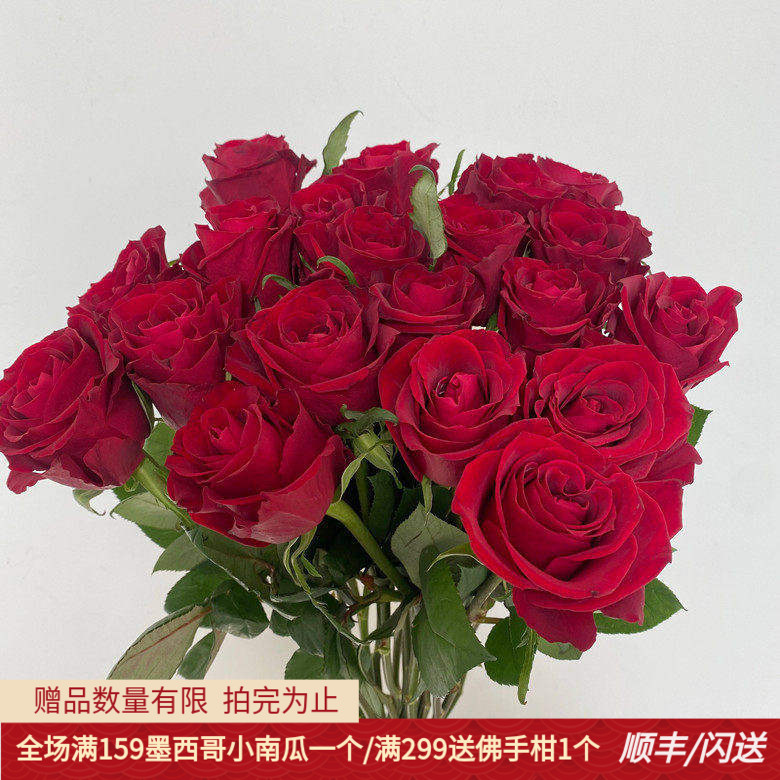 A级传奇玫瑰暗红褶花边鲜切花