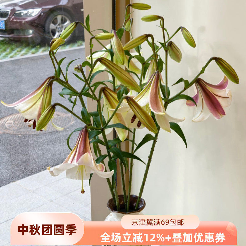 A级东方月亮百合鲜切花顺丰速递