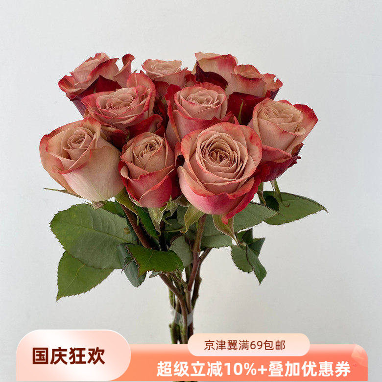 复古系20朵卡布奇诺玫瑰花婚礼
