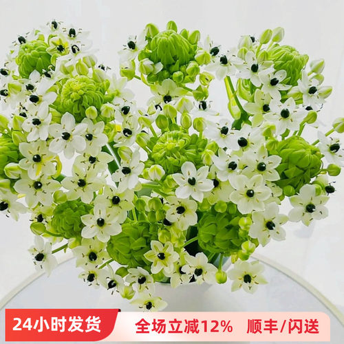 办公室天鹅绒高品质娇嫩鲜切花