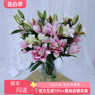 新品 推荐 上市重瓣百合鲜切花香水百合花花期长北京鲜花速递10枝