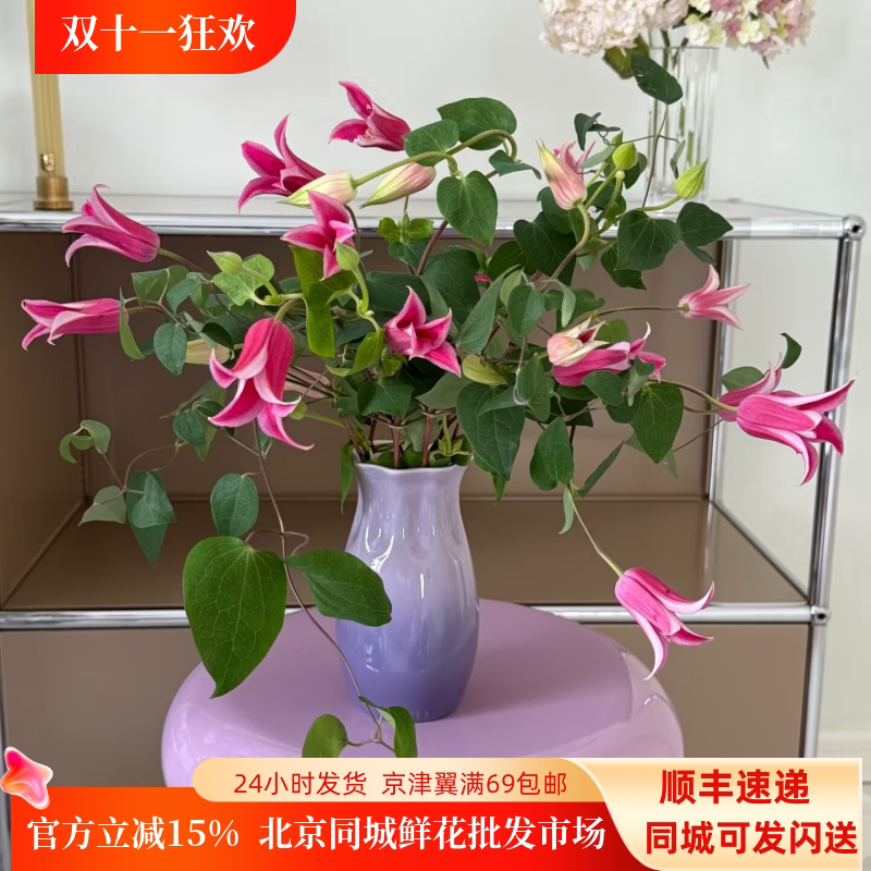 高端铁线莲鲜切花10枝北京直批