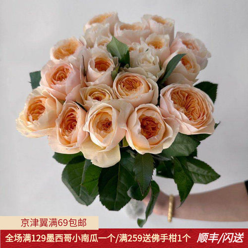 奥斯汀朱丽叶玫瑰鲜切花同城速递