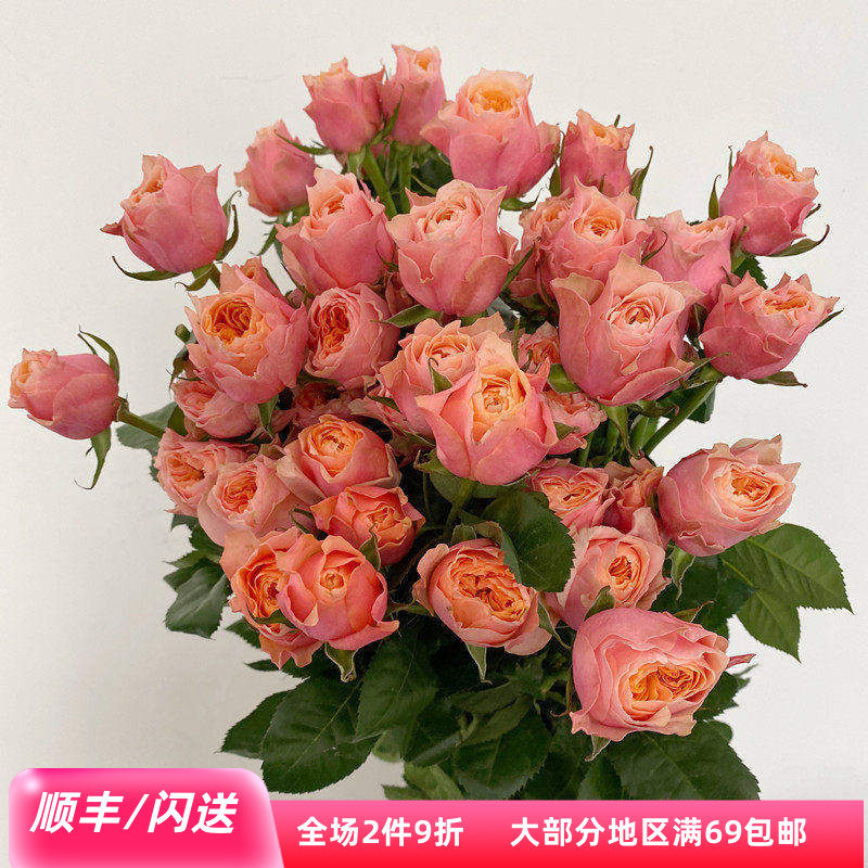 北京直送粉色蝴蝶玫瑰鲜切花10枝