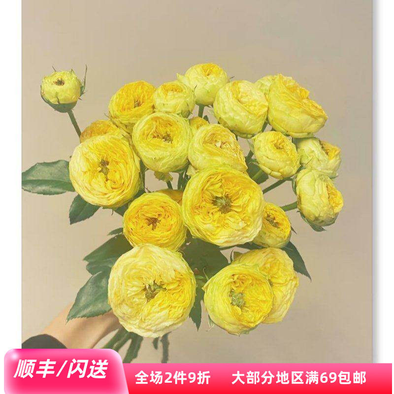 金色潮流多头玫瑰鲜花10枝