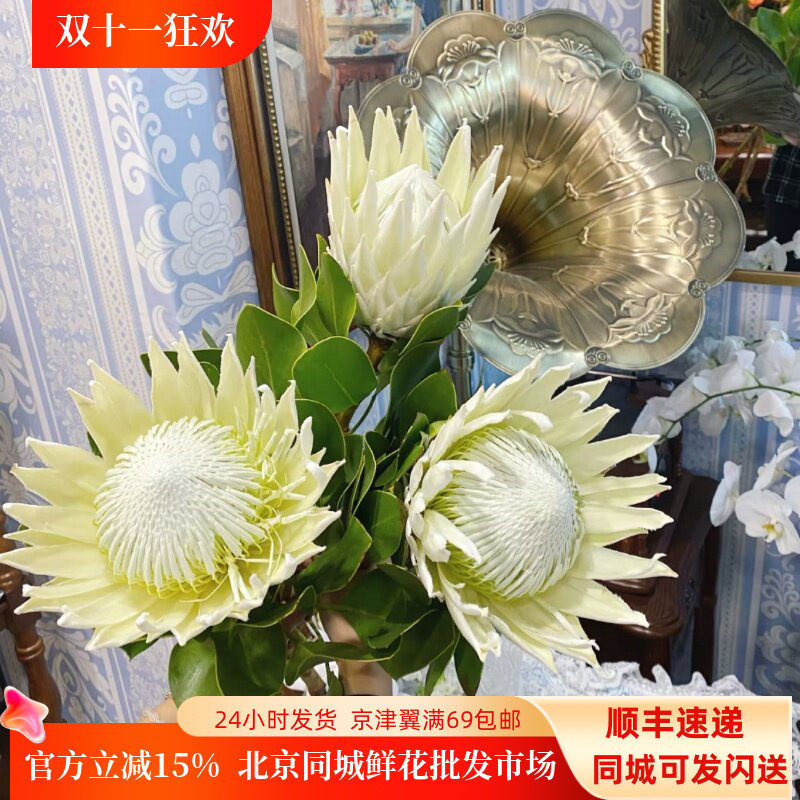 白色帝王花礼盒高端花艺